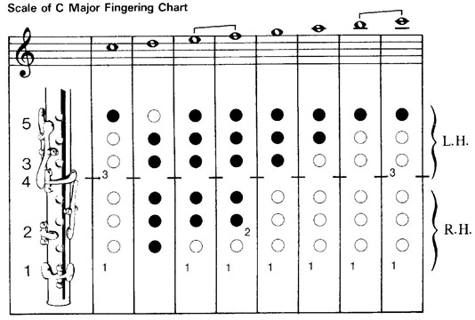 B Flat Scale Flute Finger Chart