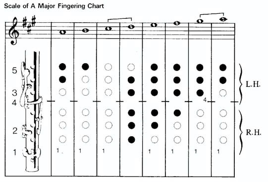 Flute C Scale Finger Chart