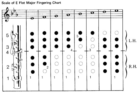 Flute Scales With Finger Chart