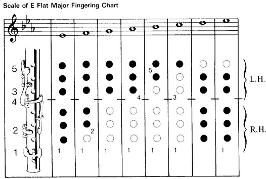 B Flat Scale Flute Finger Chart