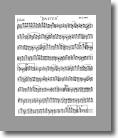 F Flute