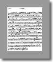F Flute