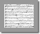 F Flute