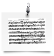 Piccolo