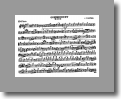 Eb Flute
