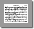 F Flute