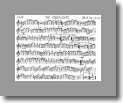 F Flute