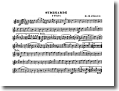 F Flute