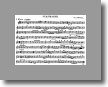 F Flute