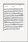 F Flute