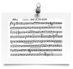 Bb Bass