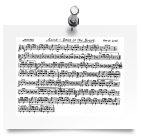 Percussion