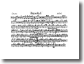Percussion
