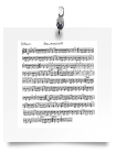 Percussion