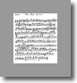 F Flute