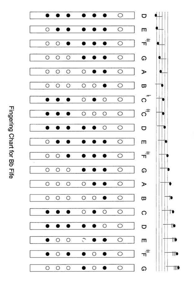 Finger-chart