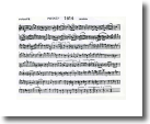 F Flute