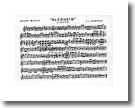 F Flute