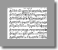 Eb Piccolo