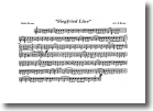 Side Drums