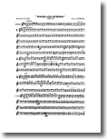 2nd Bb Flute